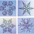 stellar-plates-and-dendrites-snowflakes-484